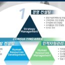 인적자원경영컨설팅