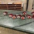 동인스파월드 이미지