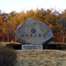 롯데마트4가 이미지