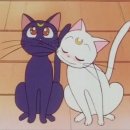 놀이터 zone 이미지