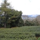 장춘농장 이미지