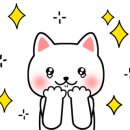 피스오브앙티브 이미지