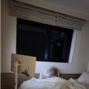 호텔몬트