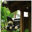 동춘당공원 이미지