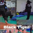 최강흑범 이미지