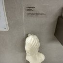 신화장 이미지