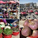 신토불이 이미지