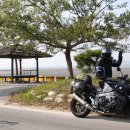 화랑식당 이미지