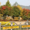 농어촌복합체육시설 이미지