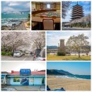 경주시티투어천마관광(주) | 해랑열차 봄 효도여행 4월 예약 일정과 코스