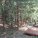 천탑마을 이미지