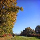 에덴블루CC클럽하우스 | 에덴블루CC 안성 골프장 라운딩 후기 (2인도 가능,수도권 가성비)