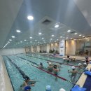 573스위밍풀 이미지