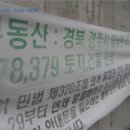 상라리 이미지