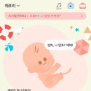 문화카도크 | 8월(3): 출산 전 마지막 37주 일상, 두번째 셀프 분갈이, 티니핑 매직매치 중독..