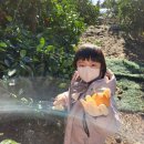 용연공원 이미지