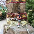 준희마트 이미지