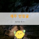 제주가는날 | 제주만장굴 재개장 후기｜비 오는 날 제주 동쪽 가볼만한 곳 추천