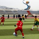 산청공설운동장 이미지