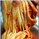 김치의 정석