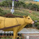 호두데이 이미지