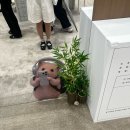 김*길 - 가평군 갈오현로 | [오늘도 출근햄니다🐹1탄] 정서불안 김햄찌 팝업 해씨 후기 - 가는길 주말 현장웨이팅 내부 이벤트 인생...