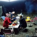 평화강변수목캠핑장 이미지