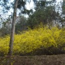 090409 하루일과 [신림사거리/예술의전당/강남세브란스병원/서울랜드 가는길] 이미지