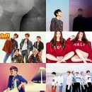 박 벌어진다 TV리포트