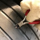 타이어요기 이미지