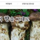 대청수산 네이버블로그