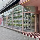 부산 해운대 국내 최초 수직 딸기 농장 체험형 카페 포시즌베리베이커리