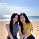 486 Daum카페