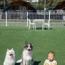 어반플레이스주