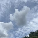 의료법인 성하의료재단 이미지