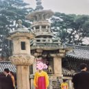 경주세탁소 | [경주] 브라운도트 경주보문점