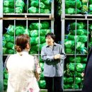 원문농장 이미지