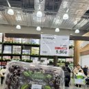 씨제이올리브영(주) 이마트 광주점 | 트레이더스 추천상품 우리집 재구매템 가성비 제품 꿀팁