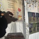 케키모음집 이미지