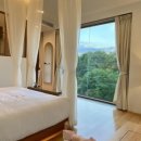 애견호텔 나무야 이미지