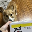 Pet snack(펫스낵) 이미지