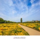 태화강국가정원 이미지