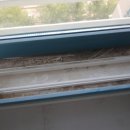 남광크리닝 이미지