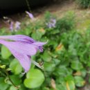 (주)디지탈에이전트 이미지