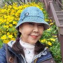 띵까띵까 이미지