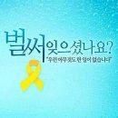 2016년 고등학교 2학년 1학기 문과 미적분1 중간고사 대비 Miracle 모의고사 이미지