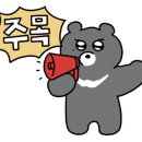 엔에스테니스존