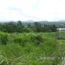 마중오름 이미지