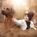 하얀강아지&고양이 이미지