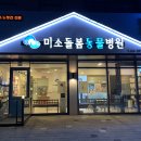 하니동물병원 이미지